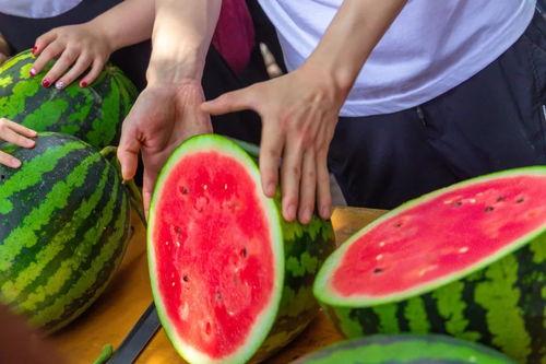 吃瓜免费传送门,带你轻松畅游娱乐世界